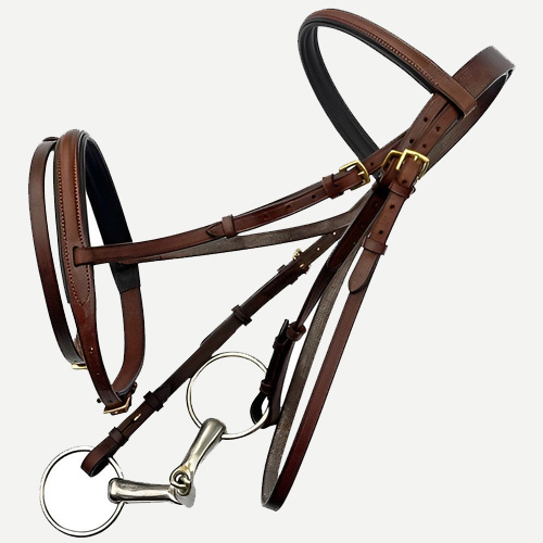 Horse Bridle<