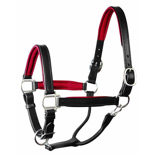 Horse Halter<