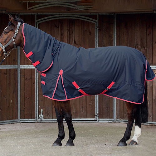 Horse Wear<