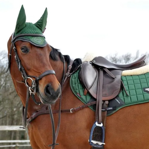 Horse Tack<
