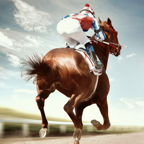 Horse Racing Goods<